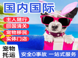 巴马航空快递国际宠物托运 【国